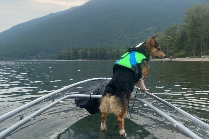 Clear Kayak Rentals for Glacier Park 4