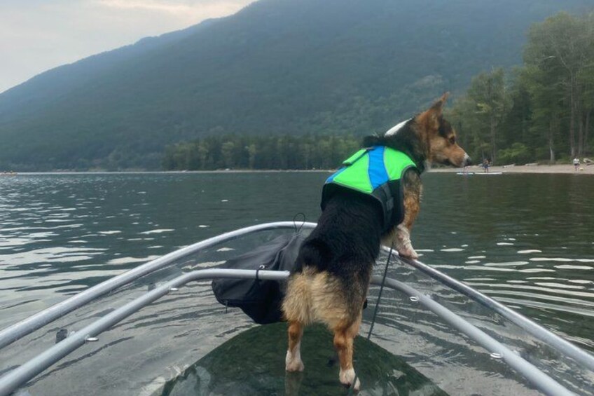 Clear Kayak Rentals for Glacier Park 5