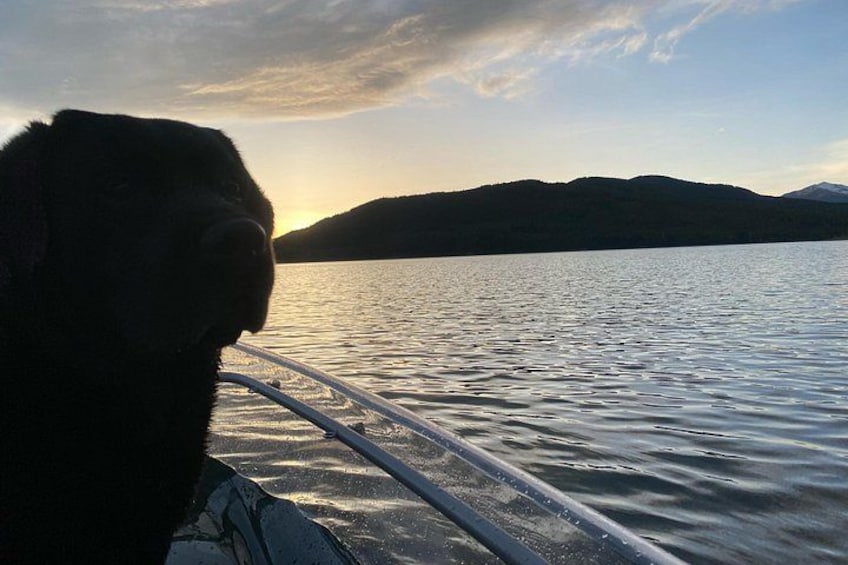 Dog on a Clear Kayak in the Hungry Horse Reservoir near Glacier Park 4
