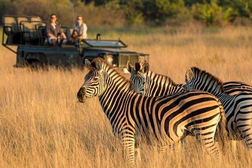 Full Day Phezulu Safari and Mandela Capture Site Tour from Durban 4