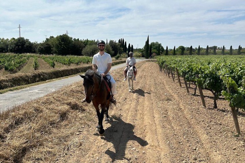 From Barcelona: PRIVATE Horseback Riding and Tapas Brunch 2