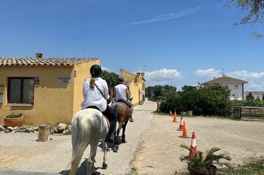 From Barcelona: PRIVATE Horseback Riding and Tapas Brunch 3