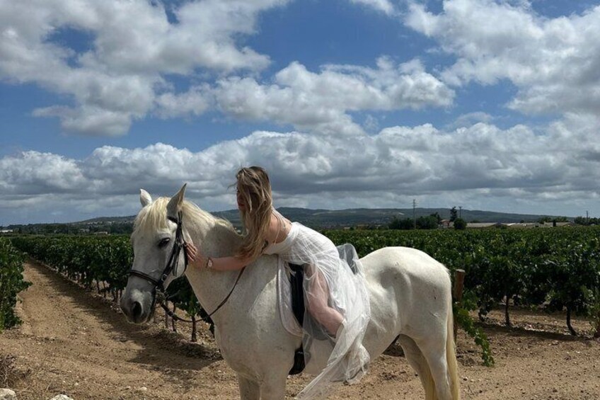 From Barcelona: PRIVATE Horseback Riding and Tapas Brunch 1