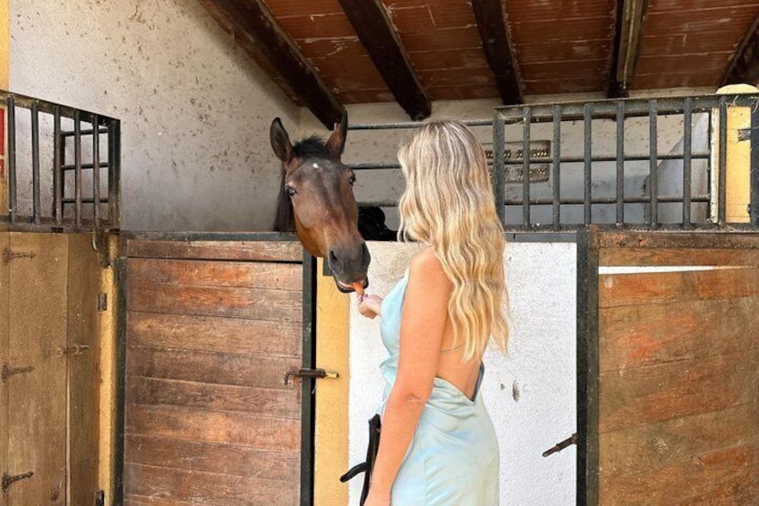 From Barcelona: PRIVATE Horseback Riding and Tapas Brunch 5