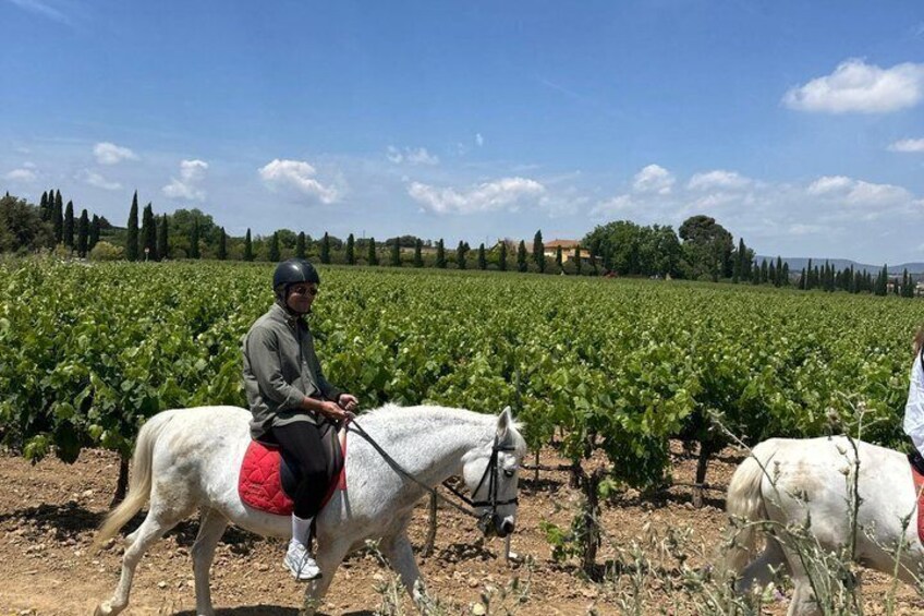 From Barcelona: PRIVATE Horseback Riding and Tapas Brunch 4