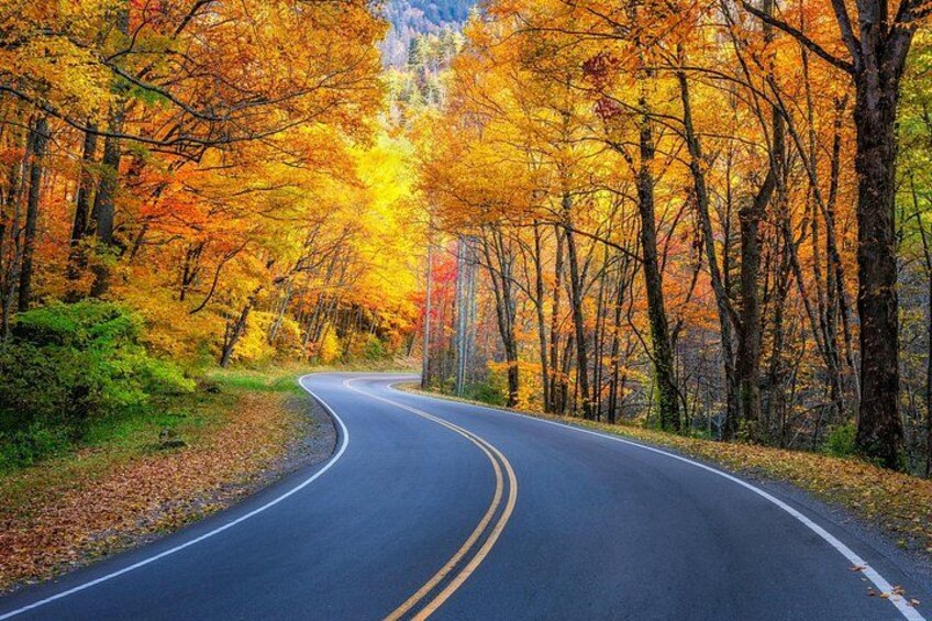 Vermont RT 100 App-Guided Driving Audio Tour 5