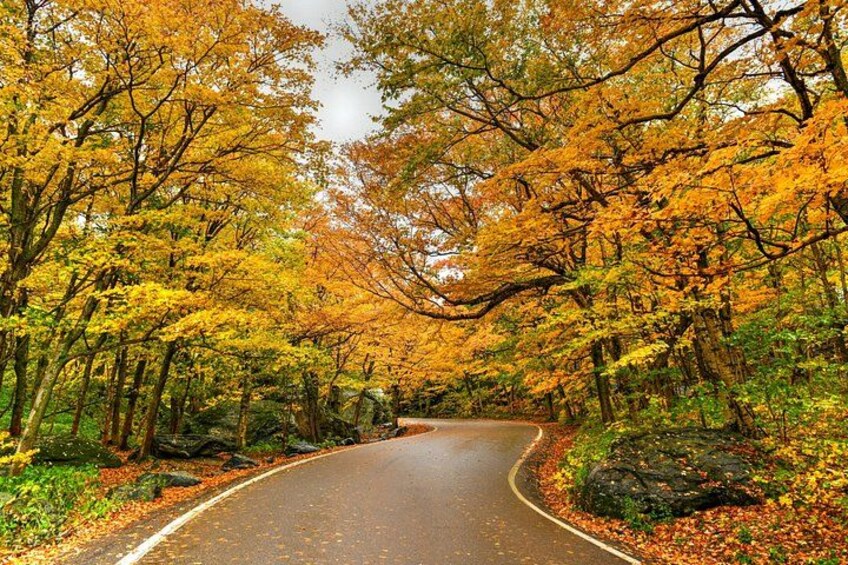 Vermont RT 100 App-Guided Driving Audio Tour 4