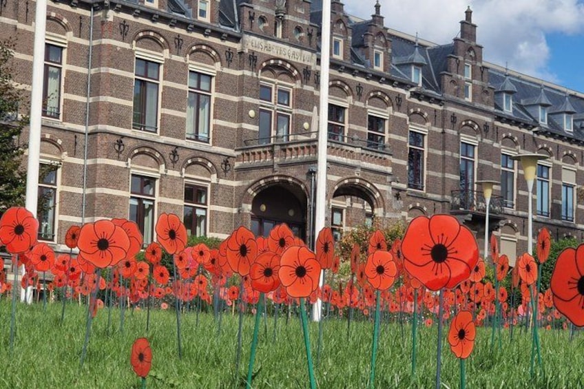 A building with a brick facade and arched windows, surrounded by a field of red poppies. 5