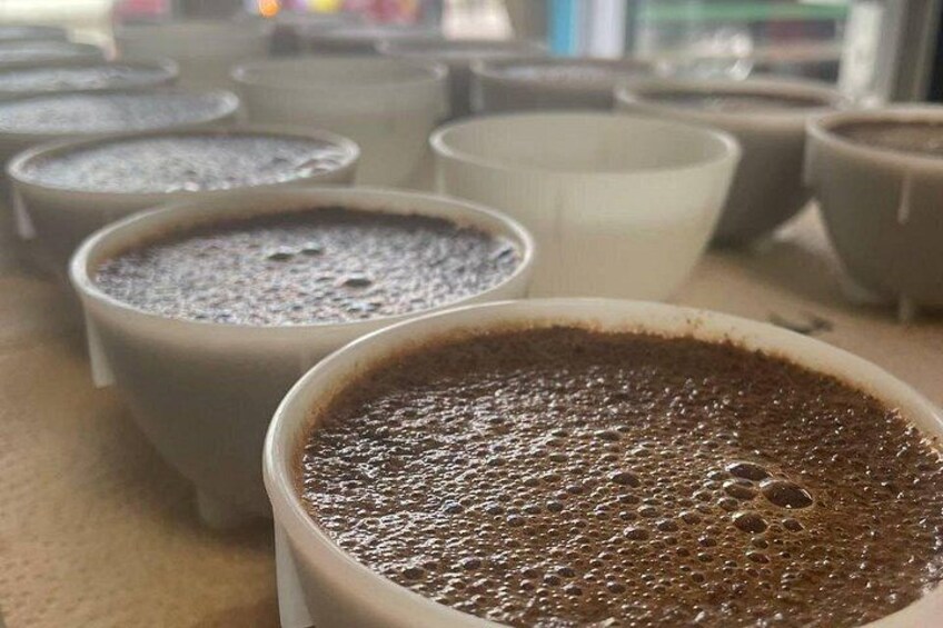 2-Hour Specialty Coffee tasting in Ljubljana 2