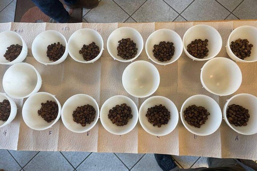 2-Hour Specialty Coffee tasting in Ljubljana 2