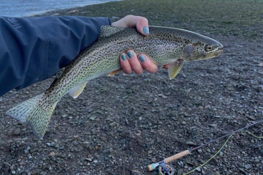 Une personne tenant un poisson aux écailles tachetées, portant une veste bleue et se tenant sur une rive de galets. 3