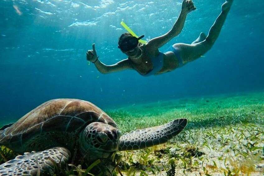 A person snorkeling underwater with a sea turtle. 1