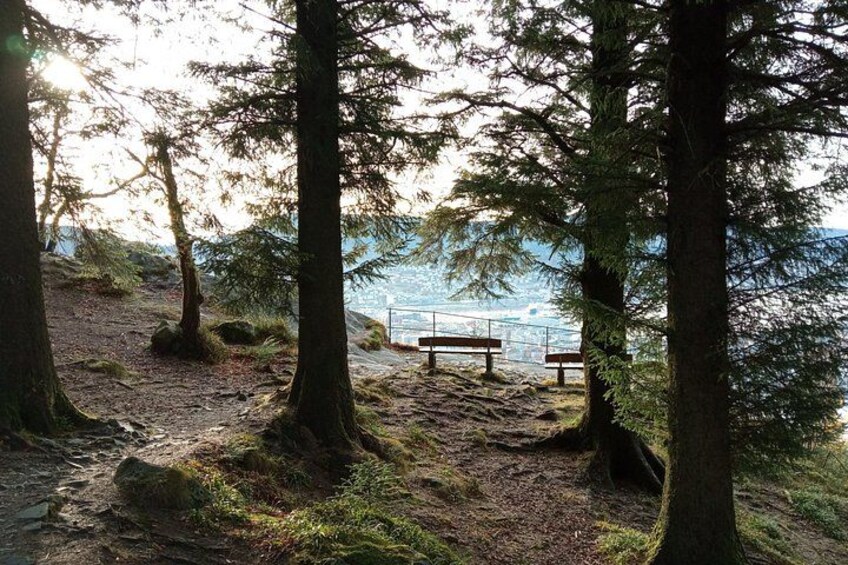 Self-Guided Hike from Bergen's Fish Market up Mount Fløyen 5