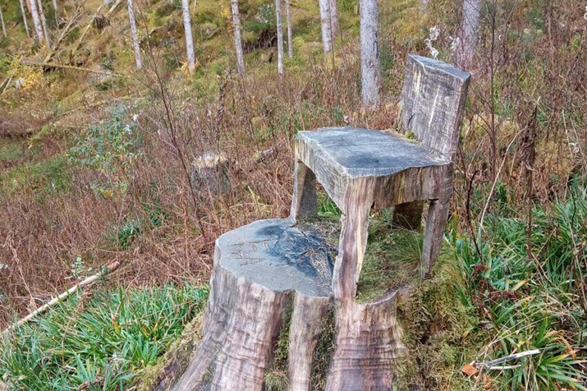 Self-Guided Hike from Bergen's Fish Market up Mount Fløyen 3