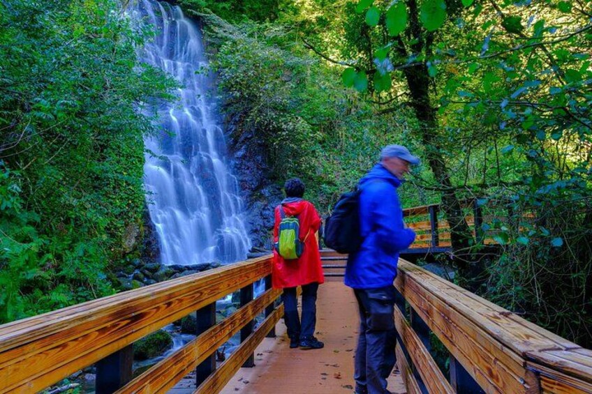 Full Day Tour From Batumi to Waterfalls 4