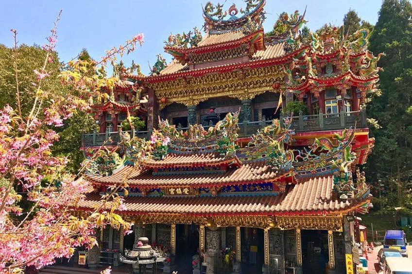 Alishan Join-in Day Tour from Taichung (Incl. Park Entrance) 2