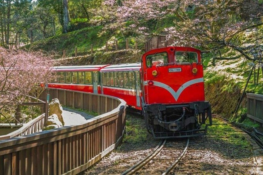 Alishan Join-in Day Tour from Taichung (Incl. Park Entrance) 3