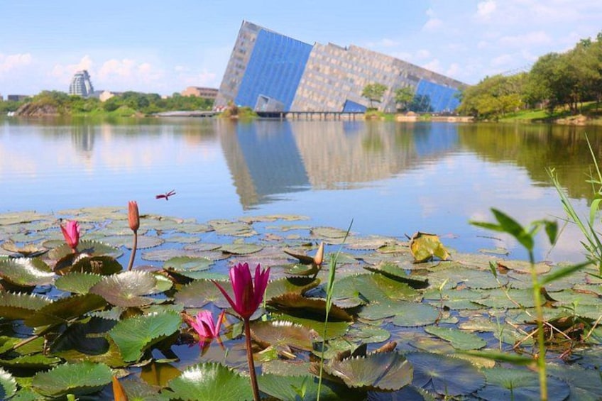 A body of water with lotus flowers and a modern building in the background. 3