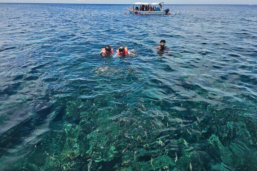 Roatan Jungle Top Zip Line, Wildlife Eco-Park and Snorkel 2