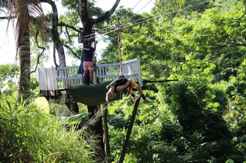 Roatan Jungle Top Zip Line, Wildlife Eco-Park and Snorkel 2