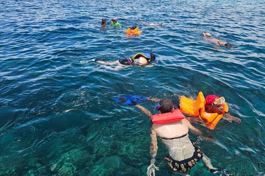 Roatan Jungle Top Zip Line, Wildlife Eco-Park and Snorkel 3