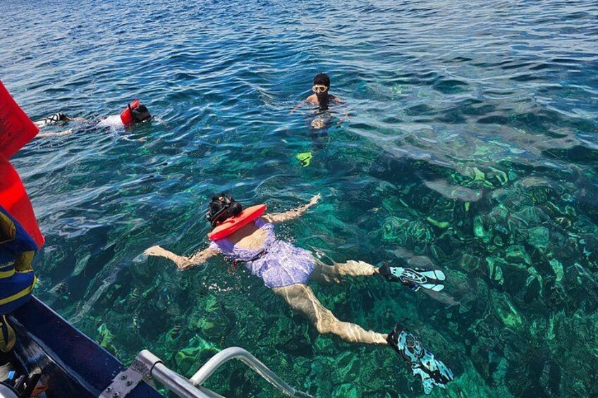 Roatan Jungle Top Zip Line, Wildlife Eco-Park and Snorkel 1
