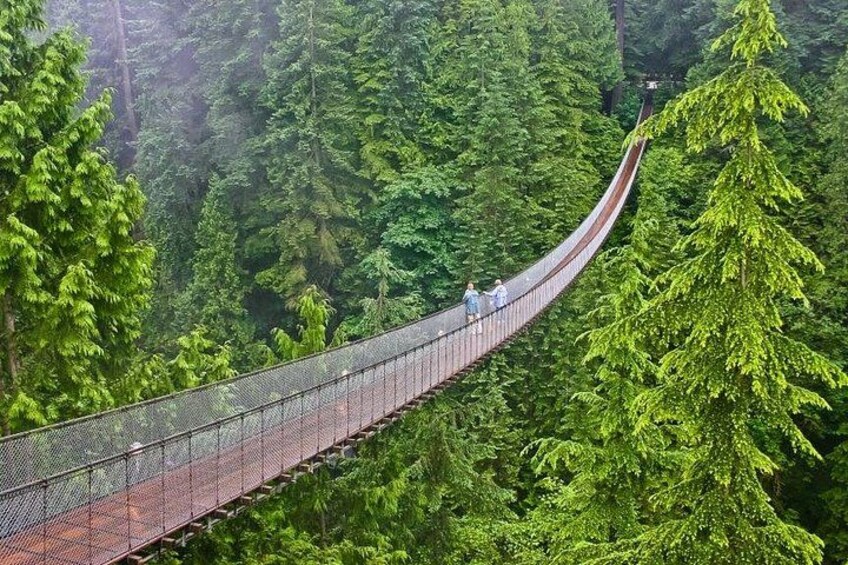 Prospect Point Lookout, Capilano and Horseshoe Bay Private tour 4