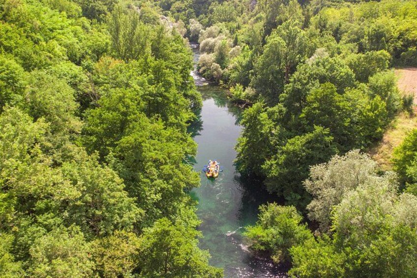 Une rivière bordée d’une forêt dense et verdoyante. 2
