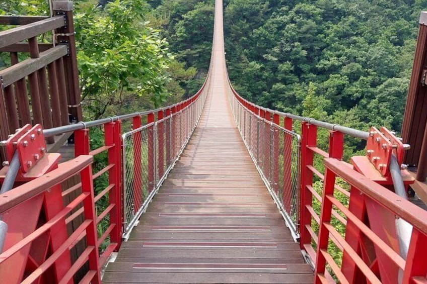 DMZ & Suspension Bridge Full-Day Guided Tour 5