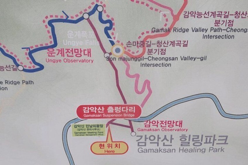 DMZ & Suspension Bridge Full-Day Guided Tour 3