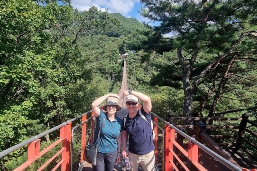DMZ & Suspension Bridge Full-Day Guided Tour 2