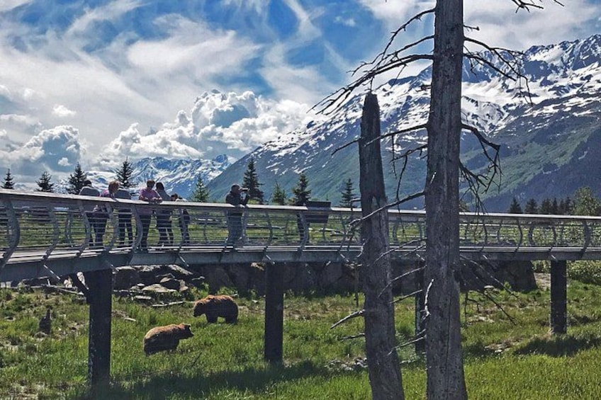 A wooden bridge, a grassy field, a mountain range, and a few people standing on the bridge. 3