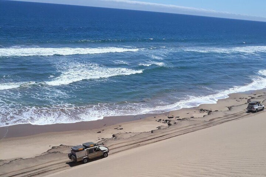 Sandwich Harbour Seals and Dune Tour 4