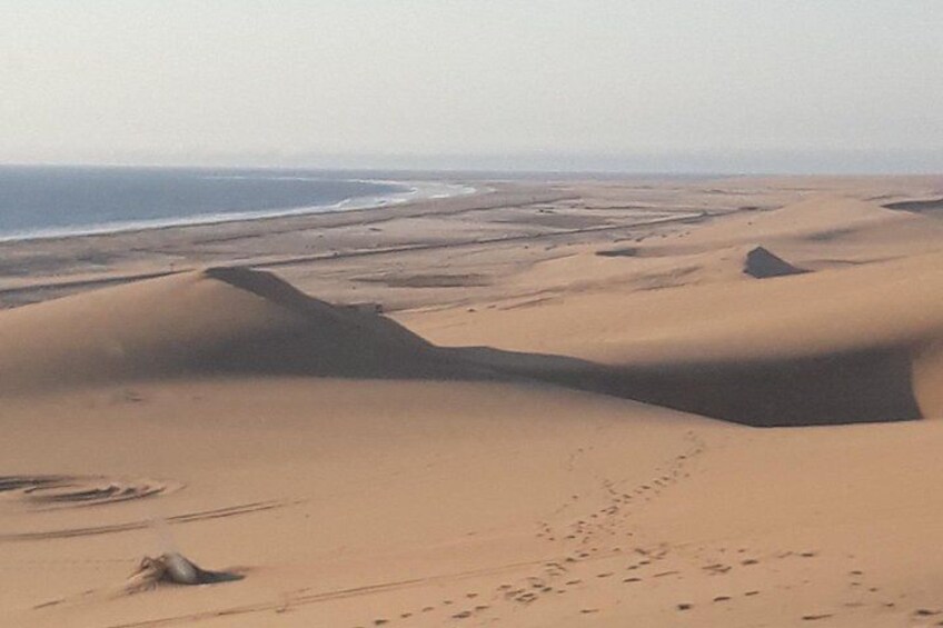 Un paysage désertique avec des dunes de sable et une plage. 4