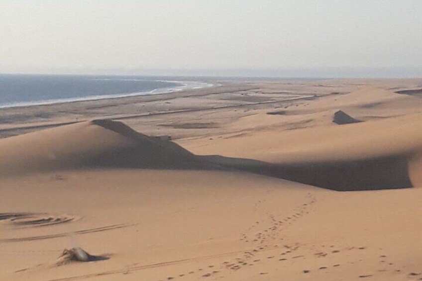 Sandwich Harbour Seals and Dune Tour 5