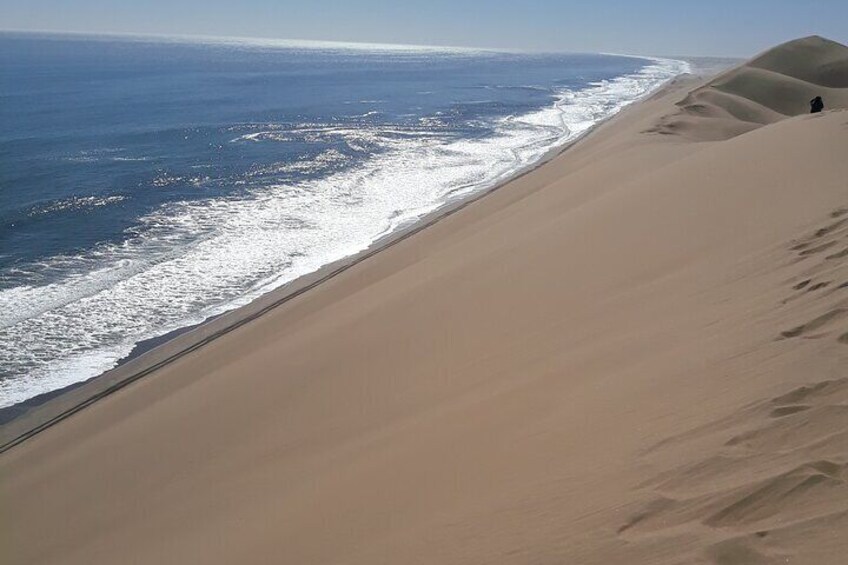 Sandwich Harbour Seals and Dune Tour 3