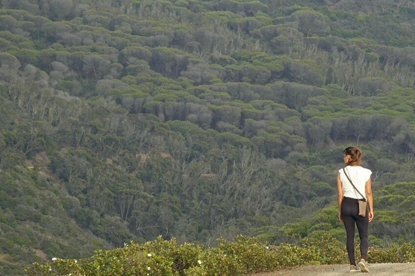 Half Day Nature Walk and Picnic at West Coast Algarve 2
