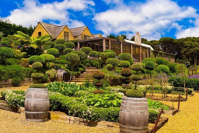 Quintessential Waiheke 1