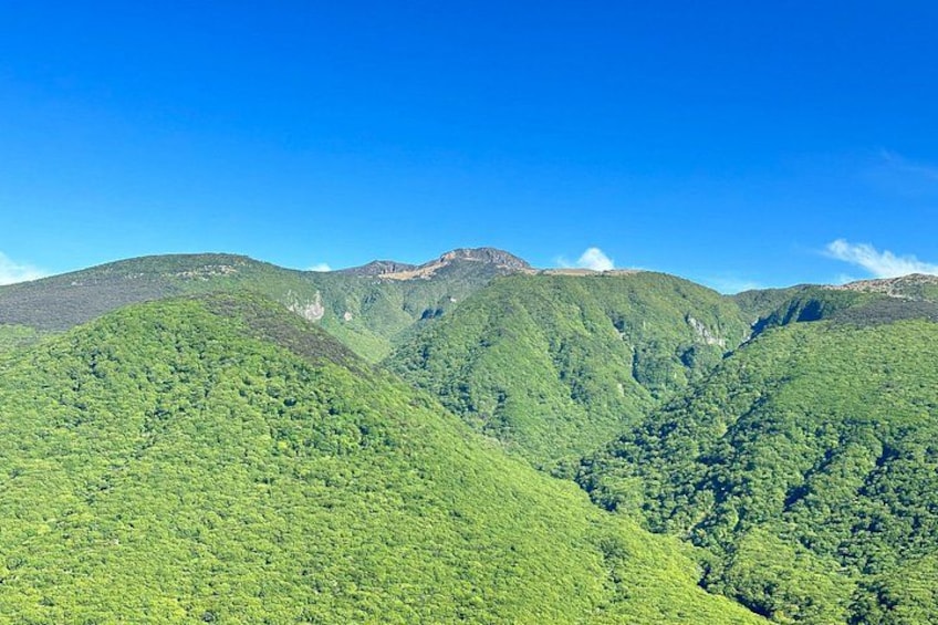 Hallasan National Park 2