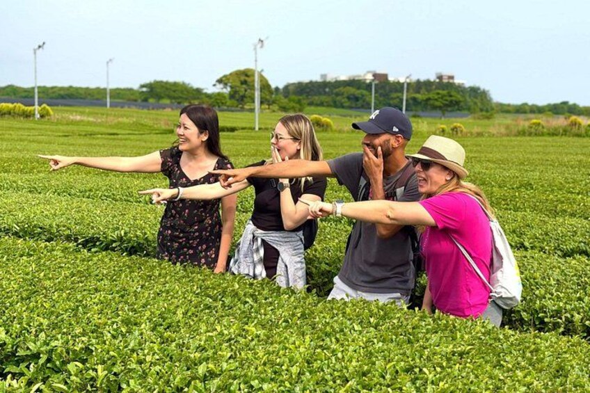 O'Sulloc Tea Museum2 2