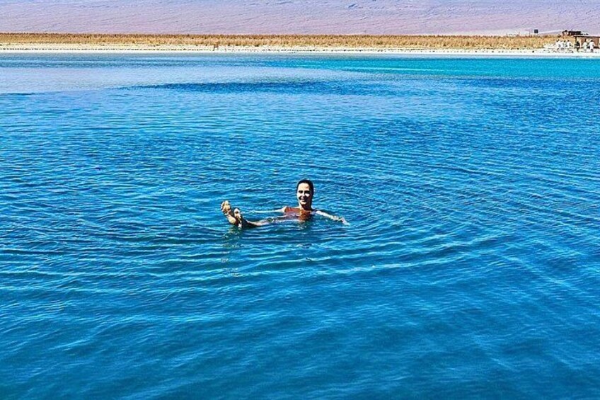 A person swimming in a large body of clear blue water with a dog nearby. 1