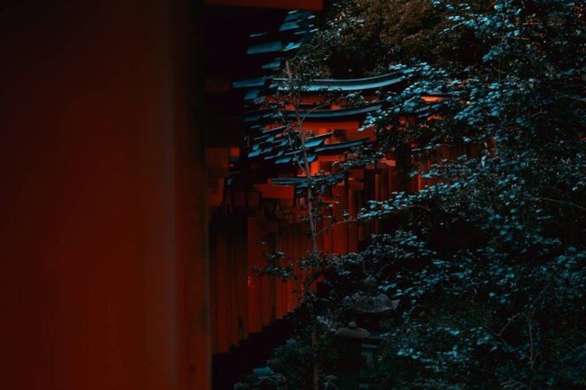 Ein traditionelles japanisches Torii mit roten Säulen und einem dunklen, bewaldeten Hintergrund. 2