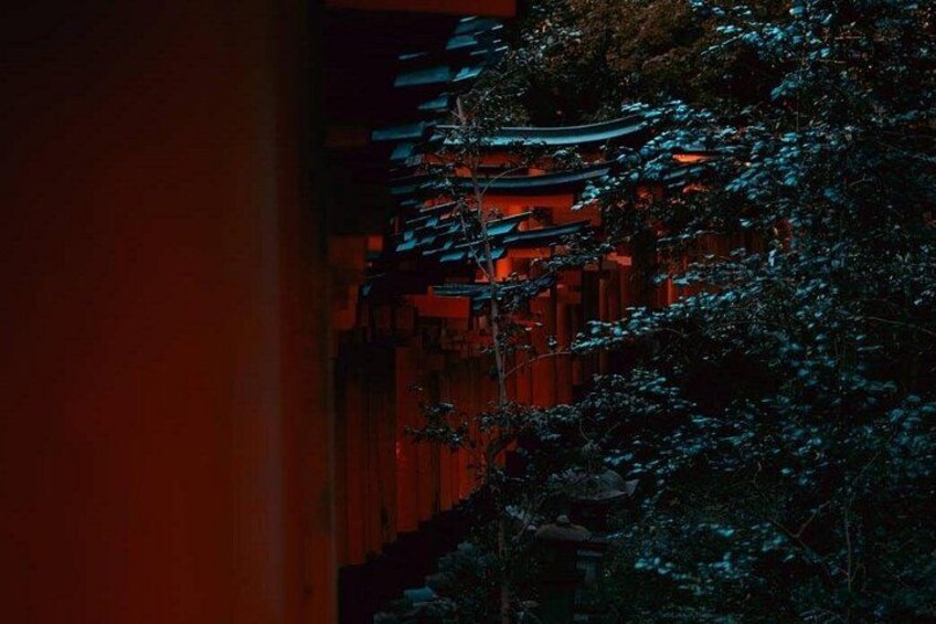 A traditional Japanese torii gate with red pillars and a dark, forested background. 2