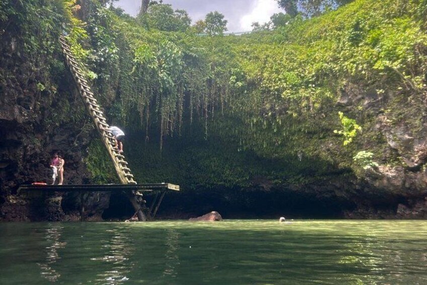 Full-Day Upolu Island Highlights Tour from Apia 3