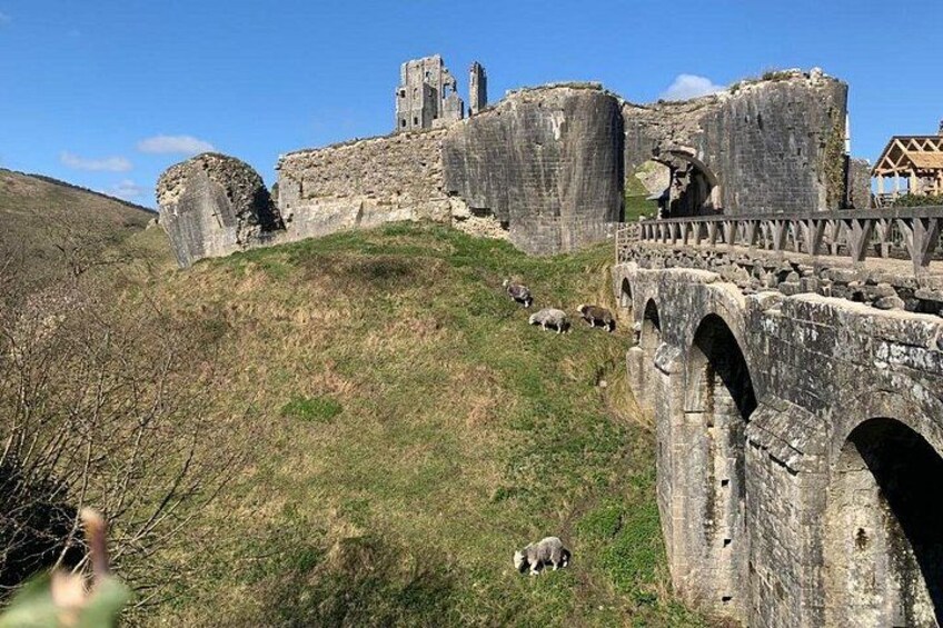 E-Bike Excursions from Swanage, Dorset 2
