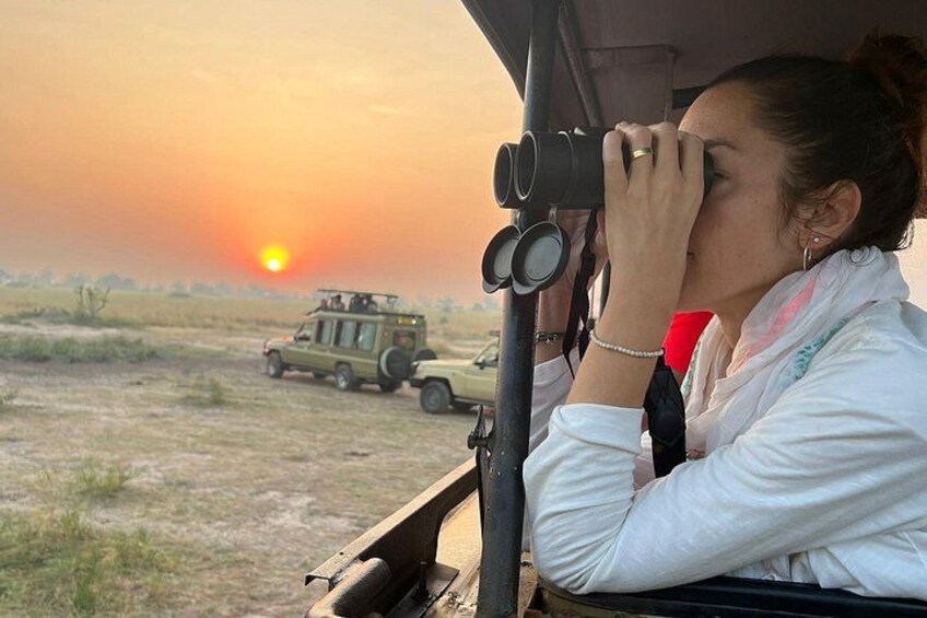 A person using binoculars, a vehicle, and a sunset in a savannah landscape. 1