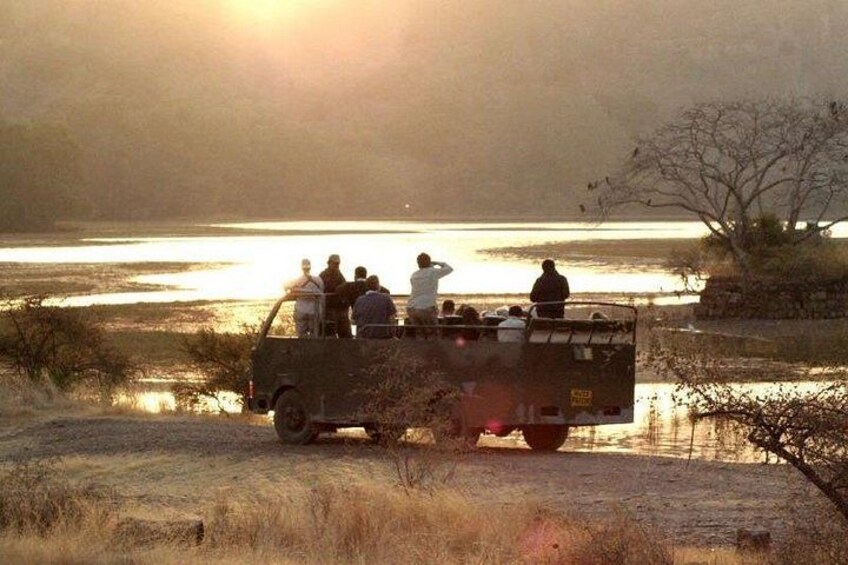 Canter Safari at Ranthambore 2