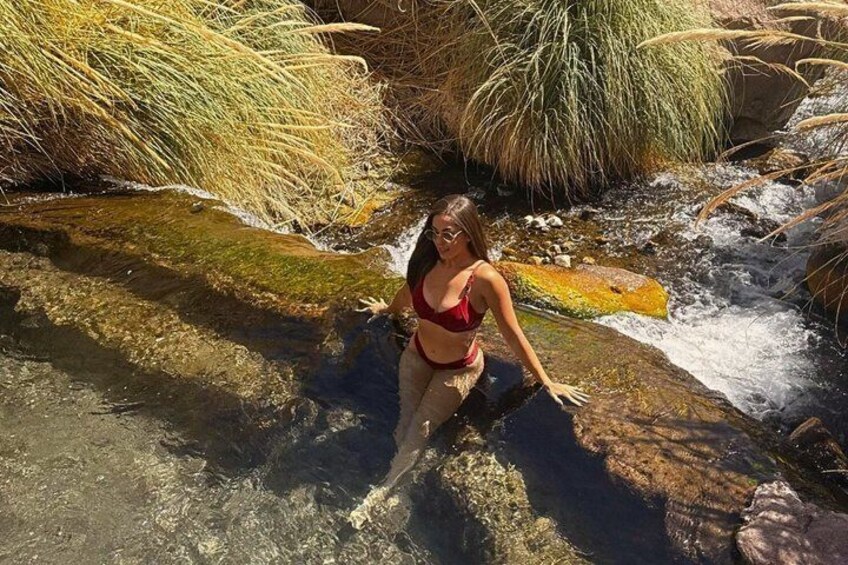 A person standing on a rock by a flowing stream with surrounding vegetation. 2