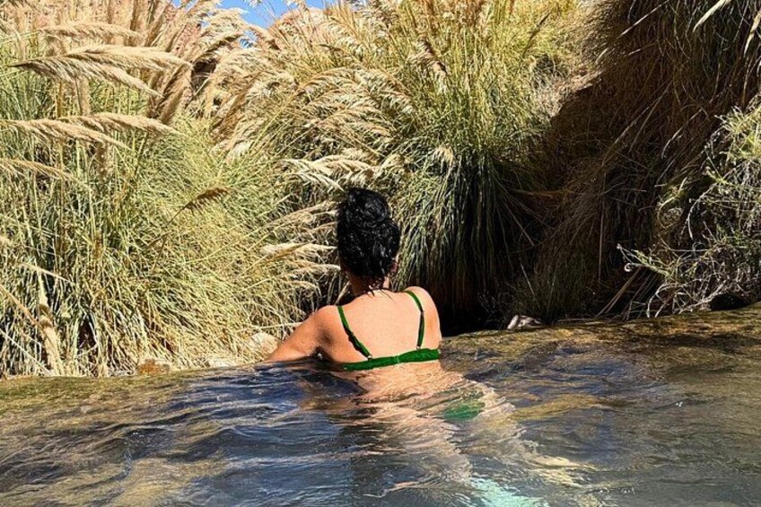 Iemand in een groen bikini zit in een natuurlijke zwempoel, omringd door hoge grassen. 4