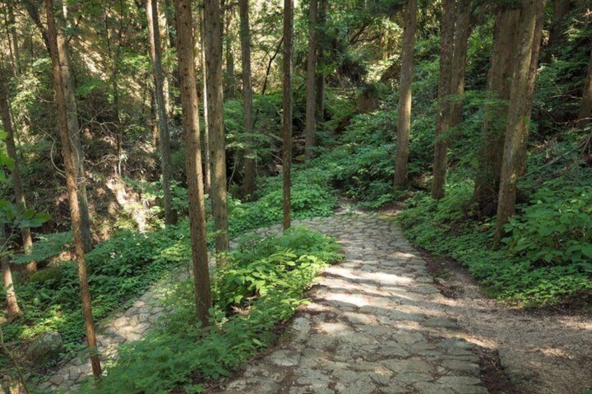 Hiking the Historic Nakasendo Trail [1 Day Tour from Nagoya] 2